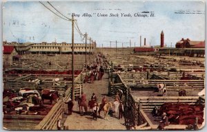 1910's Busy Alley Union Stock Yards Chicago Illinois Cattle Farm Dairy Postcard