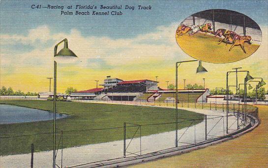 Florida Palm Beach Greyhound Racing At Palm Beach Kennel Club Curteich