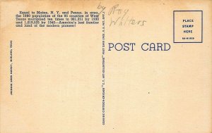 C-161 Ray Walters Comic I'm In West Texas Curt Teich Postcard