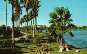 Palm Bordered Resacas & Lakes, Aerial Trip Over South Texas, Vintage Postcard