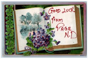 Page North Dakota ND Postcard Good Luck Embossed Book Flowers Leaves Scene 1910