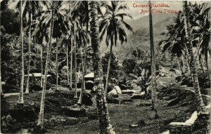 PC CPA MALAYSIA, PENANG, COCANUT PLANTATION, AYER ETAM, POSTCARD (b14476)