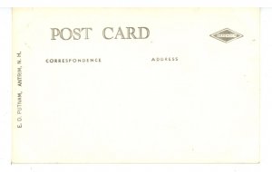 NH - Crawford Notch. The Birches  RPPC