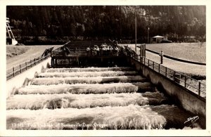 Oregon Bonneville Dam Fish Ladders 1950 Real Photo