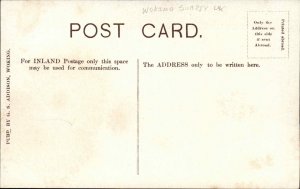 Antique Postcard WOKING SURREY Mosque