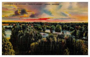 Postcard PANORAMIC SCENE Lonoke Arkansas AR AP2480