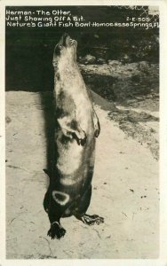 Florida 1940s Homosassa Springs Herman Otter RPPC Photo Postcard 21-11707
