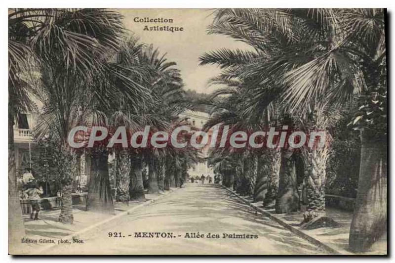 Old Postcard Menton Allee des Palmiers