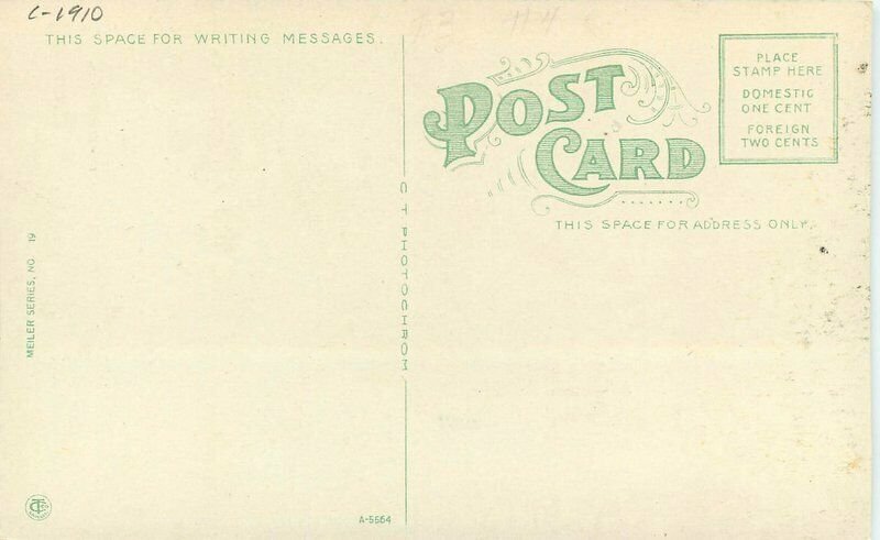 C-1910 Park Street Dayton Ohio Postcard Meiler 20-202