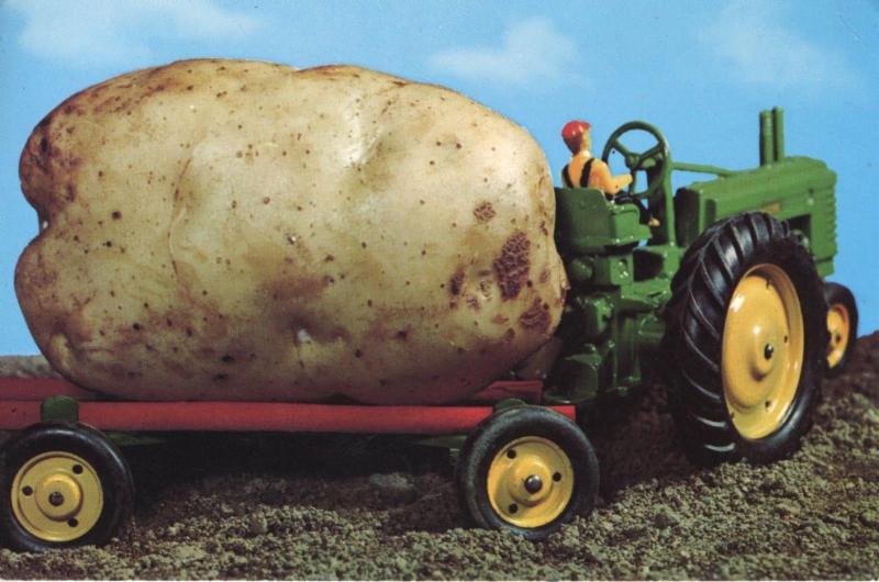Potato On Toy Tractor Prince Edward Island PE PEI Tourism c1979 Postcard D11
