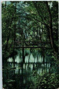 Bridges Postcard Old Bridge Posted to Hamburg Germany