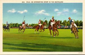 Polo An Interesting Sport In The Southland