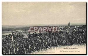 Old Postcard Folklore Wine Harvest Vine Champagne Moet & Chandon The harvest ...