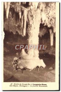 Old Postcard Laugerie Lower Foot Mammoth Prehistory Les Eyzies