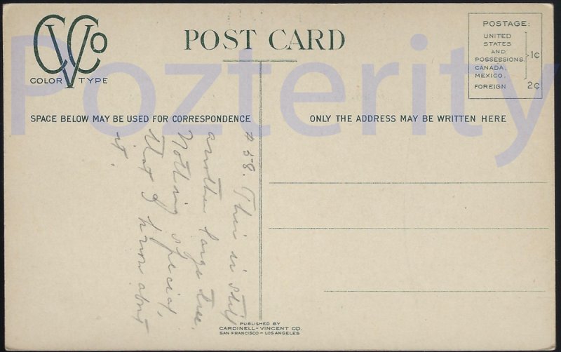 CALIFORNIA BIG TREES THE FOREST RANGER