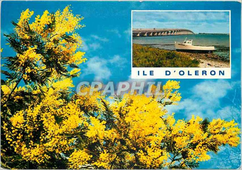 'Modern Postcard Ile d''Oleron Charente Maritime Pont d''Oleron'