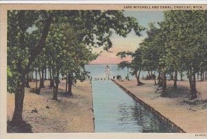 Michigan Cadillac Lake Mitchell And Canal