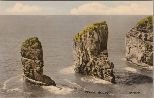 Wales Postcard - Stack Rocks, St Govan's, Pembrokeshire  RS31383 