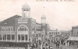 ATLANTIC CITY NEW JERSEY-STEEL PIER POSTCARD 1900s