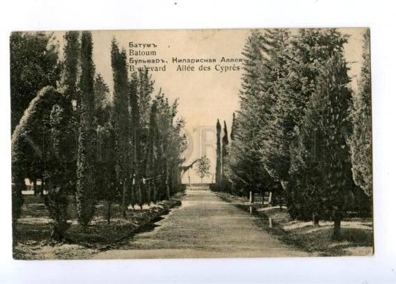 171151 Adjara Georgia BATUMI Boulevard Cypress alley Vintage