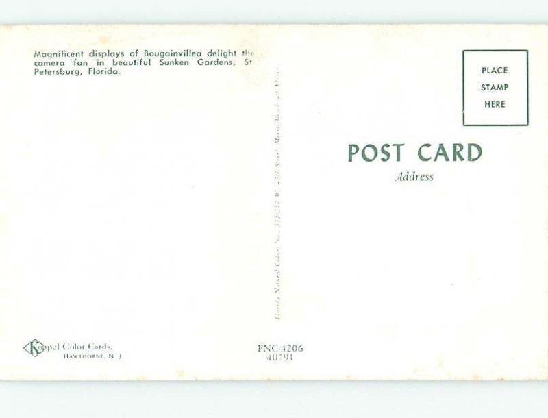 Pre-1980 SUNKEN GARDENS SCENE St. Petersburg Florida FL AF9228
