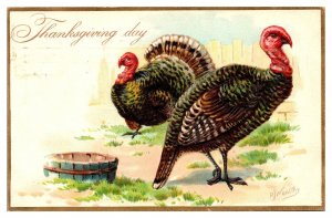 1908 Thanksgiving day, Turkeys, Farmyard Scene, Postcard