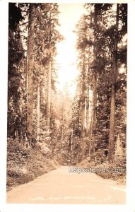 Olympic Peninsula Highway - Seattle, Washington WA Postcard