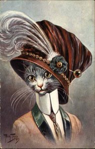 Arthur Thiele 1113 Fancy Cat Woman Big Hat Fantasy c1910 Postcard #1