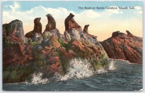 Vintage Santa Catalina Island Seals Postcard California