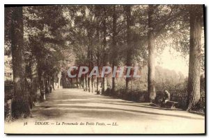 Old Postcard Dinan La Promenade des Petits Fosses