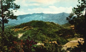 Vintage Postcard 1954 Mt. Le Conte Great Smoky Mountain National Park Tennessee