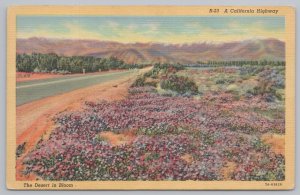 Linen~Desert In Bloom California Highwau~Vintage Postcard 