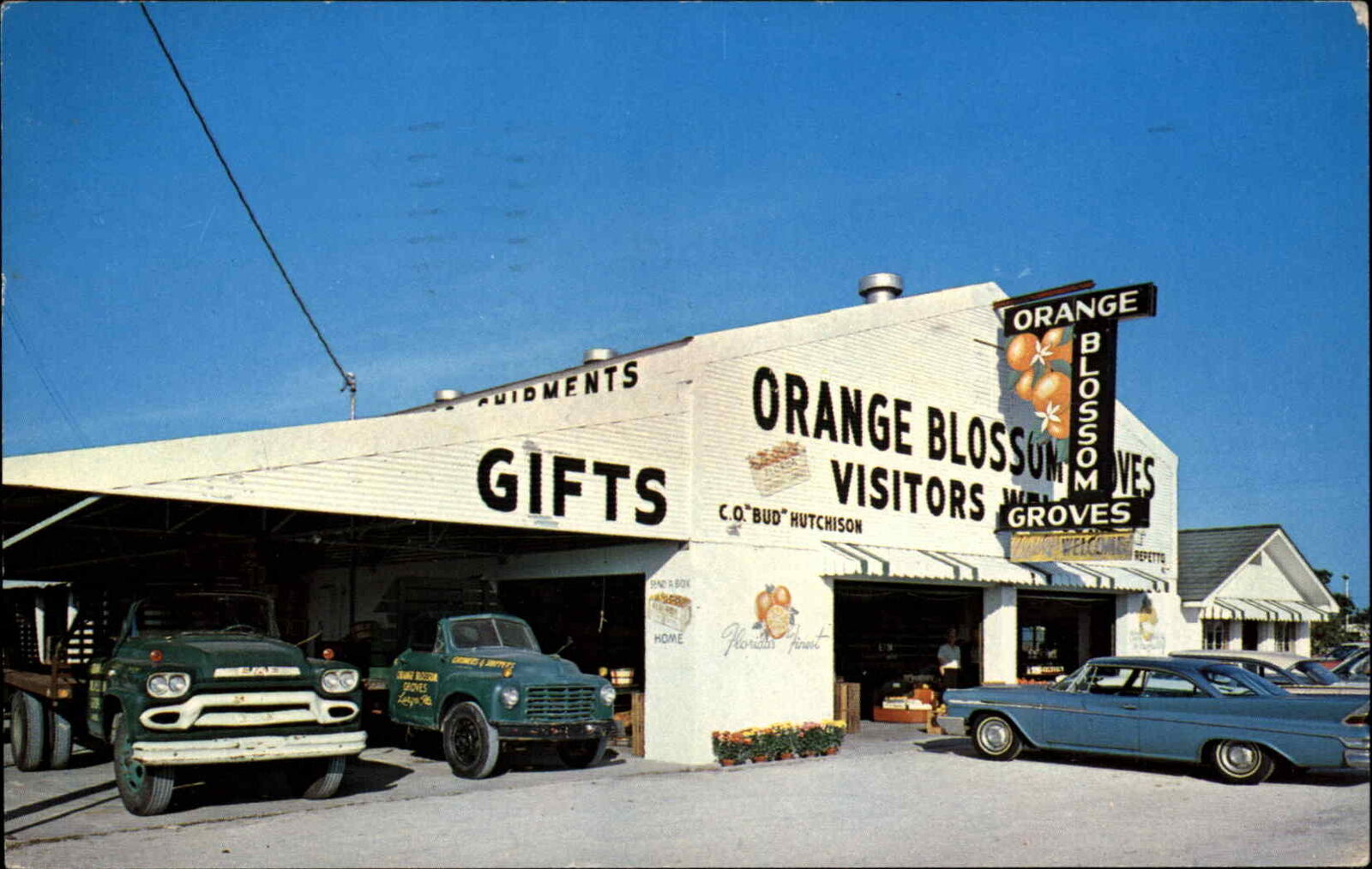 Largo Florida FL Orange Blossom Groves Classic 1960s Cars Pickup