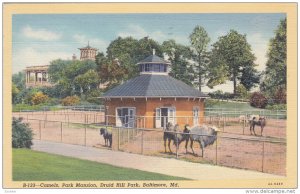 BALTIMORE, Maryland, PU-1944; Camels, Park Mansion, Druid Hill Park