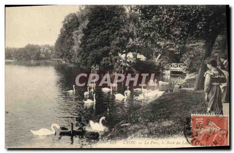 Old Postcard Lyon The Lake Edge Park and the Swan