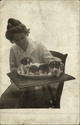 Woman w/ Adorable Puppies Dogs on Platter on Table c1910 ...