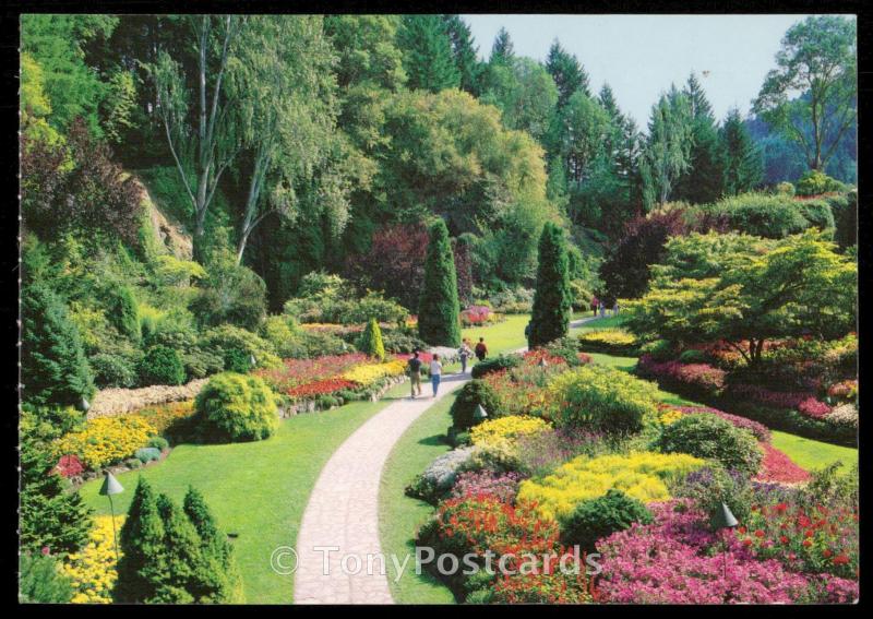 THE SUNKEN GARDEN