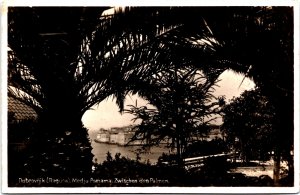 Croatia Dubrovnik Ragusa Medju Pomama Zwischen den Palmen Vintage RPPC C015