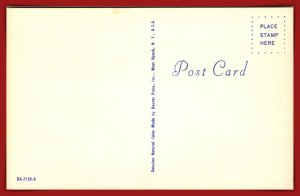 The Three MusCATeers - [MX-1178]