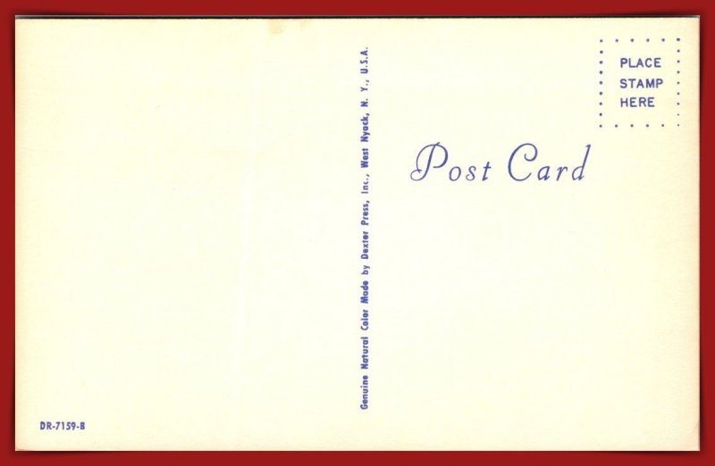 The Three MusCATeers - [MX-1178]