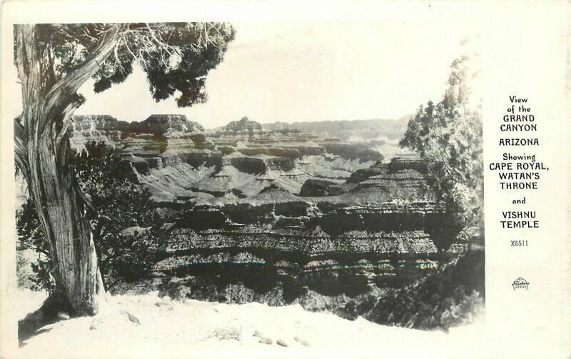 Grand Canyon Arizona Cape Royal Frasher 1940s RPPC Photo Postcard 21-9290