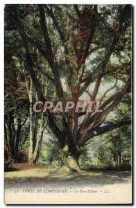 Old Postcard Tree Forest of Compiegne The big oak