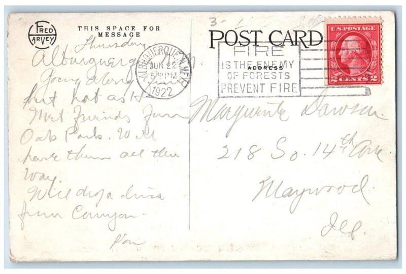 Kansas City Missouri MO Postcard Swimming Pool In Electric Park Fred Harvey 1922