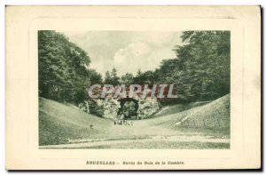 Old Postcard Brussels Ravine du Bois de la Cambre