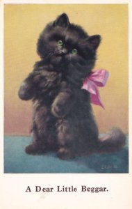 A Dear Little Beggar Cute Black Cat 1970s Postcard