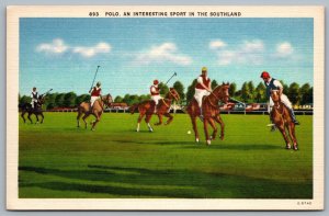 Postcard c1940s Polo An Interesting Sport In The Southland Linen Unused