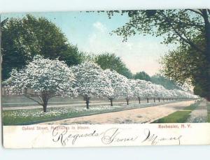 Pre-1907 STREET SCENE Rochester New York NY A0130