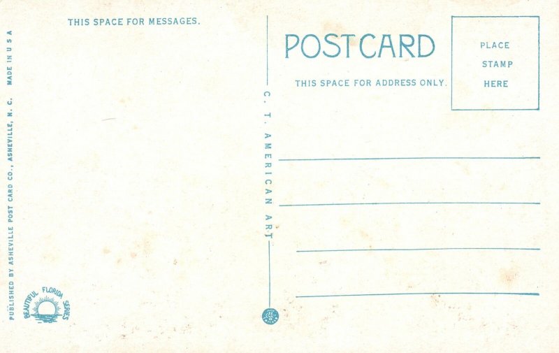 Vintage Postcard Fishing In The Atlantic Ocean End Of Pier Daytona Beach Florida