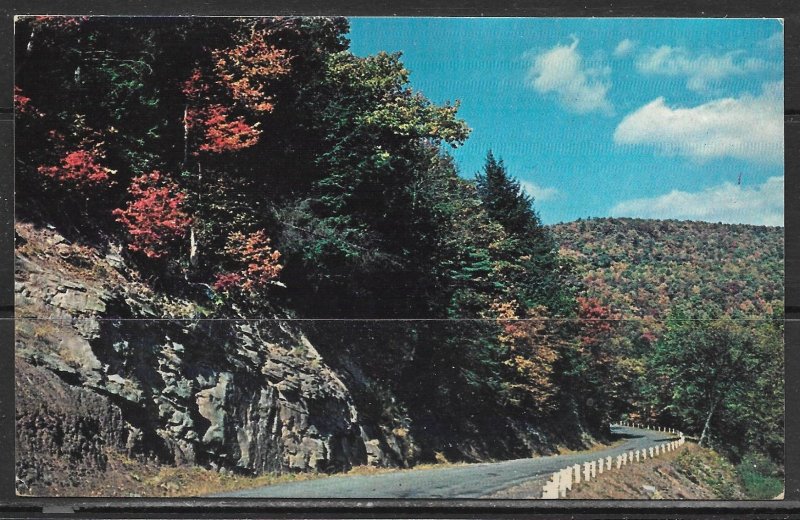 Pennsylvania, Montoursville - Wallis Run Road - [PA-424]