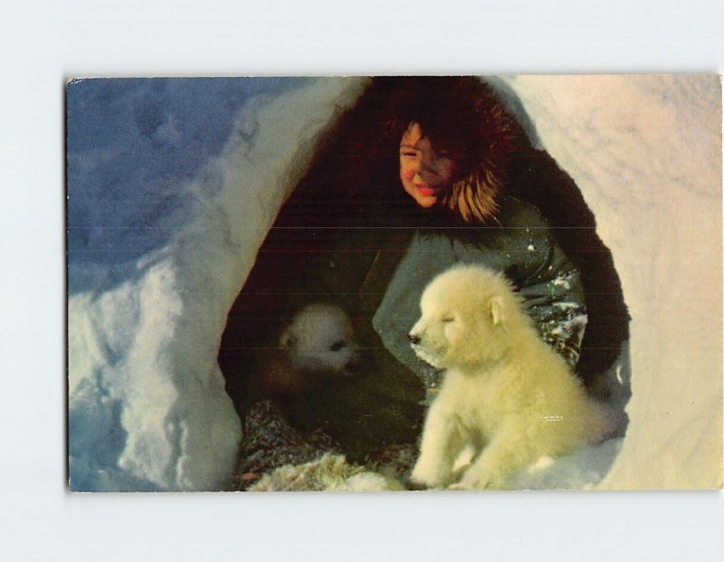 M-215396 Eskimo Boy and Two Pet Polar Bear Cubs Barter Island Alaska USA